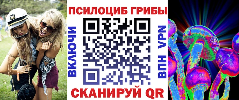 Купить где  Иннополис  Галлюциногенные грибы Psilocybe 