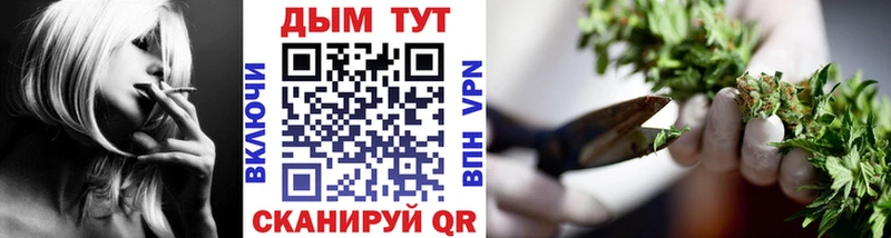 Купить закладки Иннополис Каннабис тримм